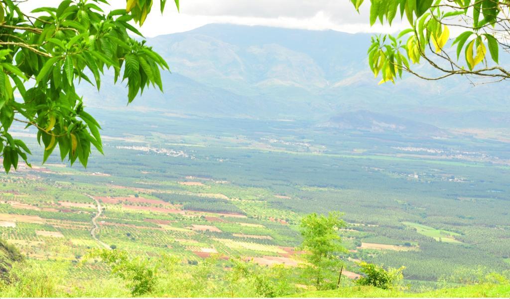 ปูนาร์ชนี อายุรเวดิค รีสอร์ท Ramakkalmedu ภายนอก รูปภาพ