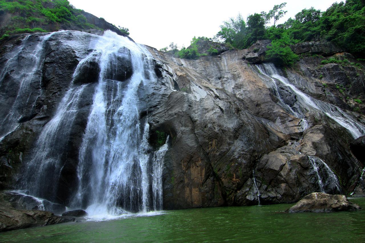 ปูนาร์ชนี อายุรเวดิค รีสอร์ท Ramakkalmedu ภายนอก รูปภาพ